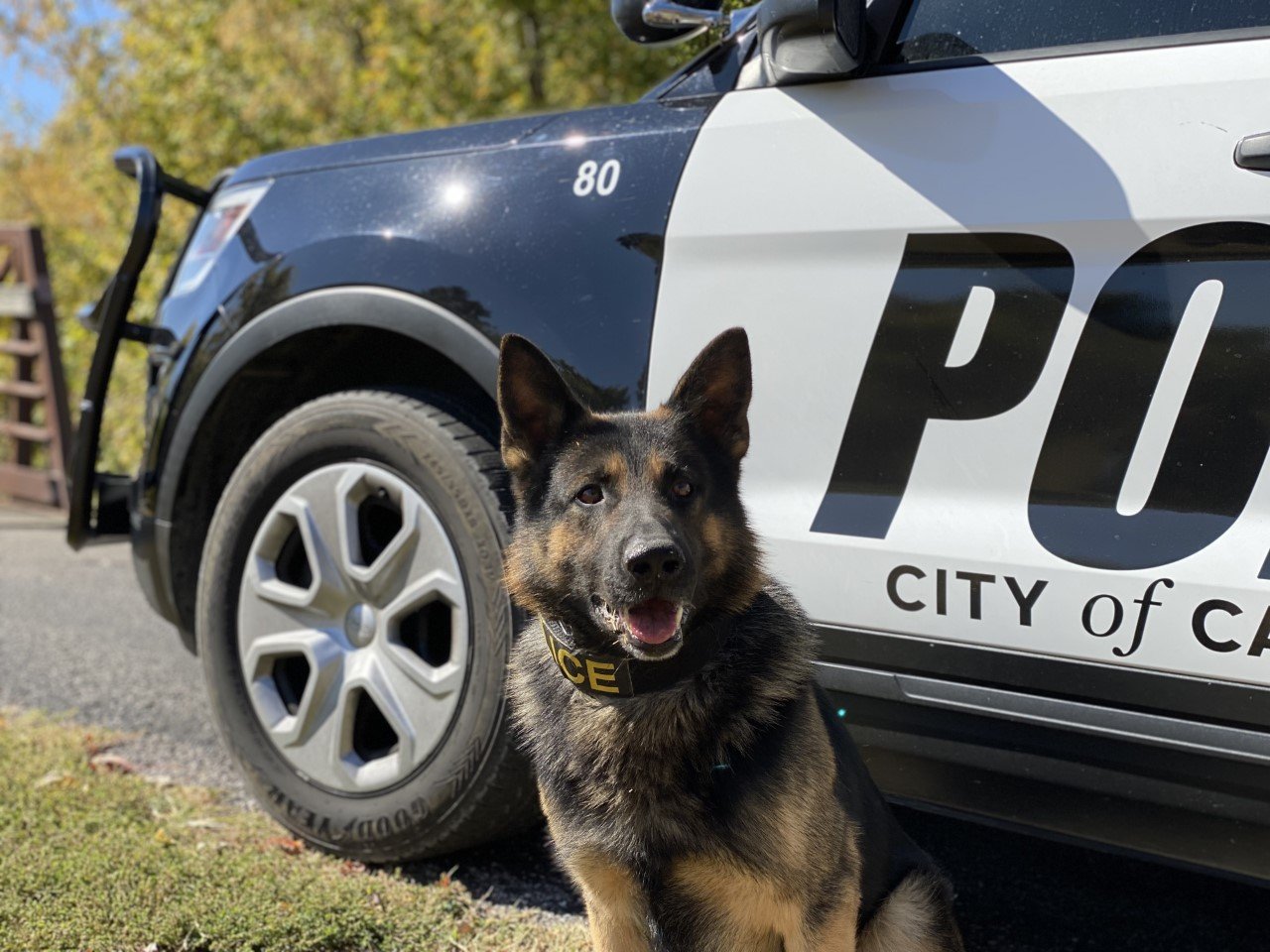 Cape Girardeau Police Department K9 Yuki, Bollinger County Sheriff's ...