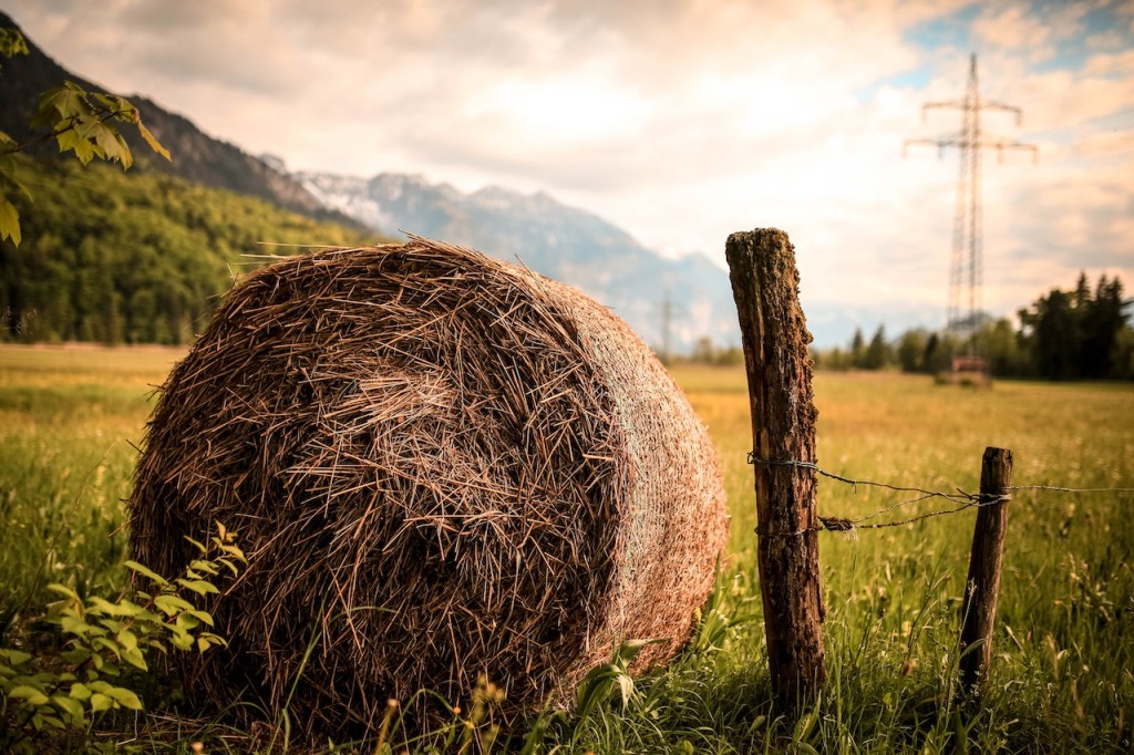 bale of hay (Source: Pexels/Tobi)