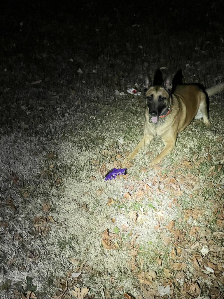 (Source: Marion Police Department/Facebook)