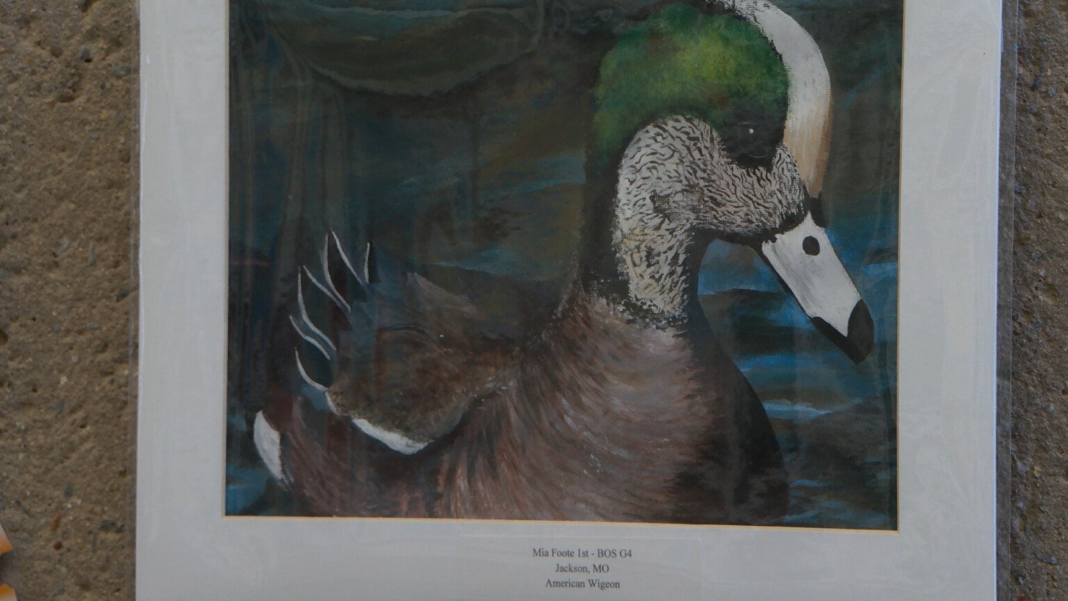 Missouri Junior Duck Stamp Contest winners on display at Cape Girardeau