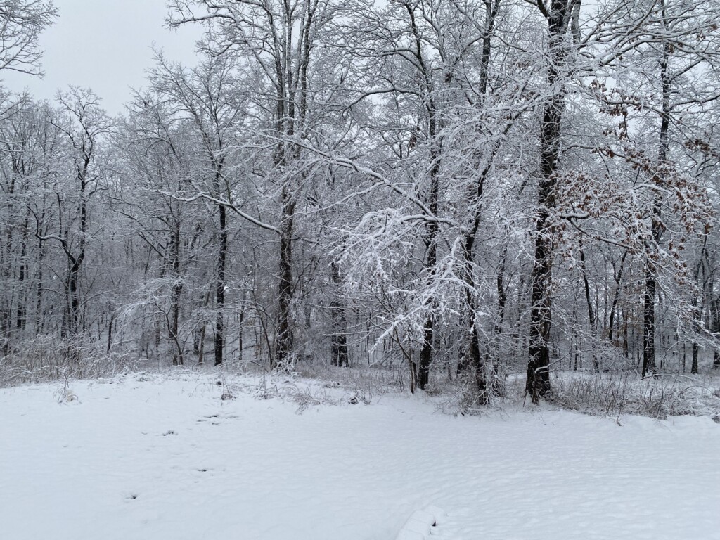 Fruitland, Mo (Source: Brenda Allen)
