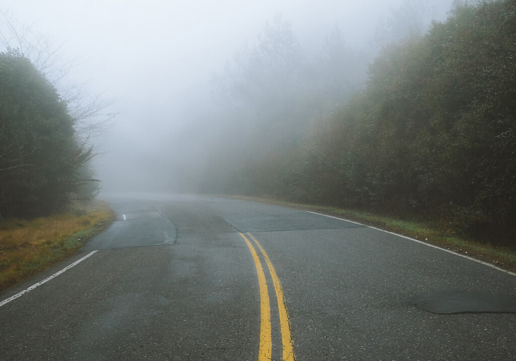 concrete road between green trees on a foggy day (Source: Pexels/Tomas Anunziata)