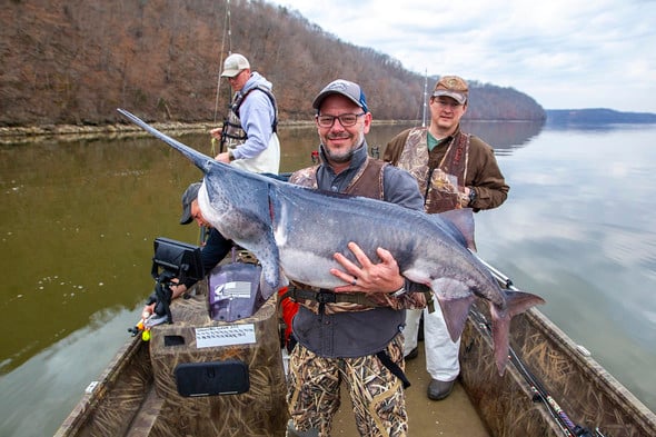 Paddlefish season to begin March 15 in Missouri - KBSI Fox 23 Cape  Girardeau News