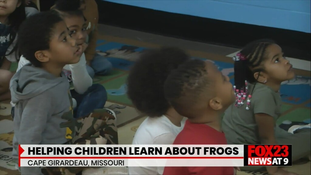 Helping Children Learn About Frogs