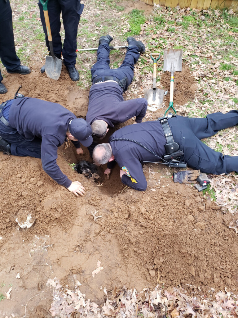 Sikeston DPS officer free dog from hole (Source: Sikeston Department of Public Safety/Facebook)