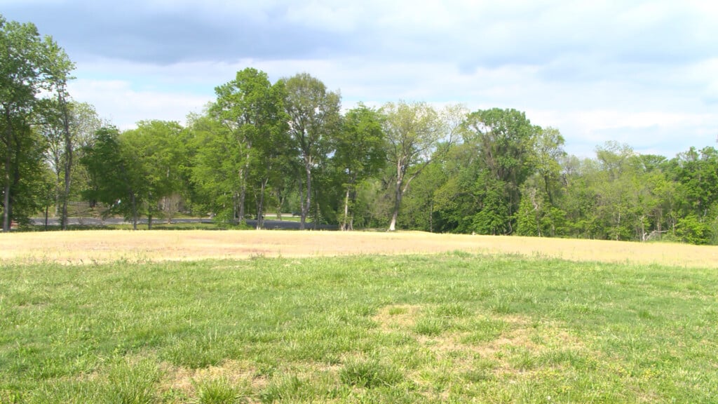 South Side Farms