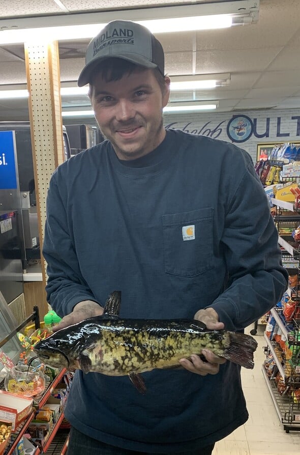 MDC confirms Mitchell Dering is the new state record holder under alternative methods after shooting a 4-pound brown bullhead from Duck Creek Ditch #105 March 14. His fish also beats the current bowfishing world record of 3-pounds, 4-ounces. (Source: MDC)