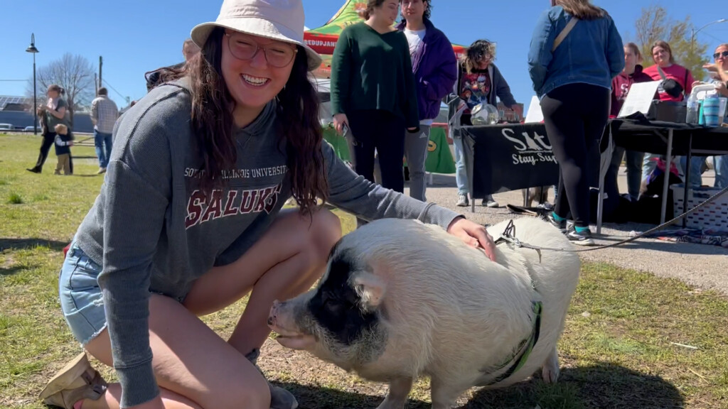 Carbondale Spring Fest