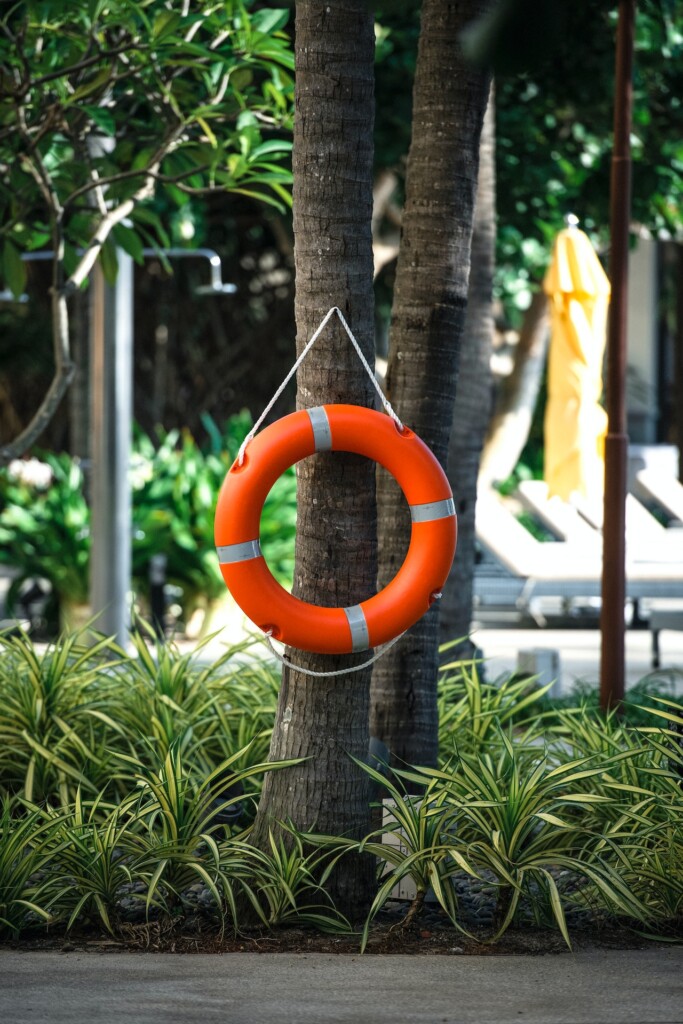 life preserver hanging on tree (Source: Pexels/Tran Nam Trung)