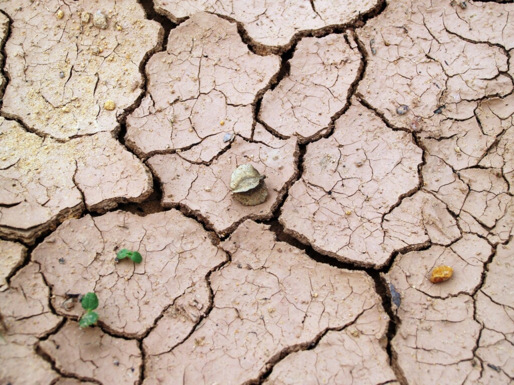 dry, cracked dirt (Source: Pexels/icon0.com)