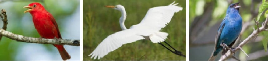 (Source: Missouri Department of Conservation)