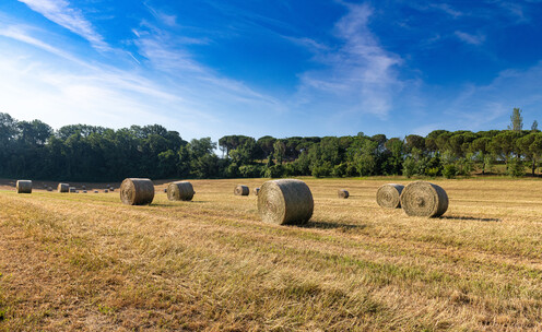 hay bales (Source: Missouri Department of Agriculture)