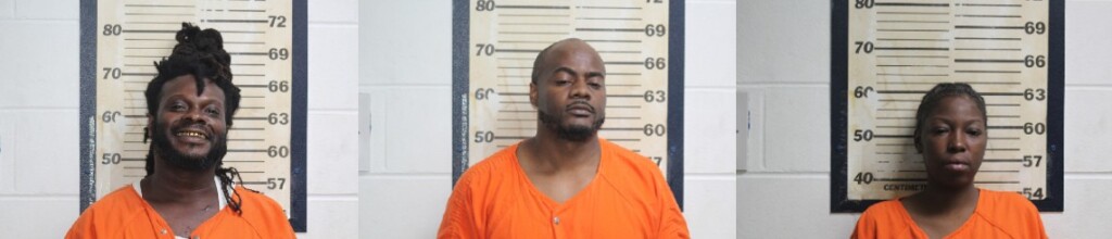 (Source: Mississippi County Sheriffs Office/Facebook)