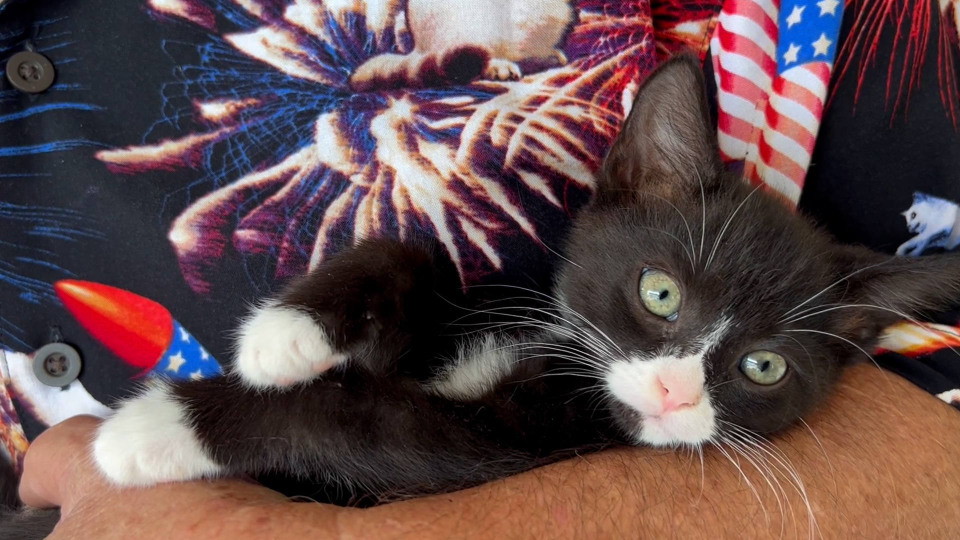 "It's just what we're meant to do" McGangsters, Barks n Bubbles team