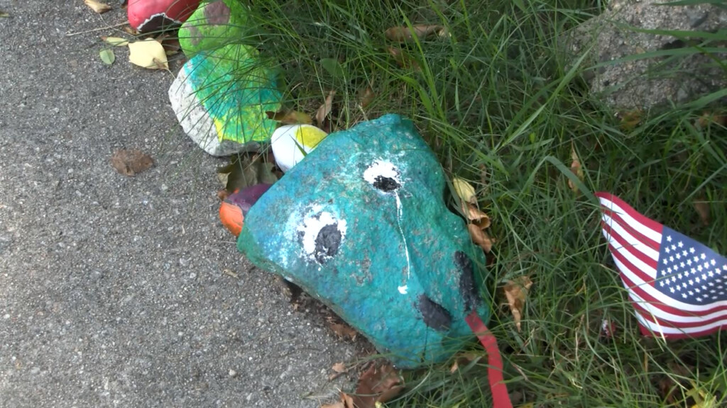 ‘jake The Snake’ Takes Over Sidewalk In Warwick