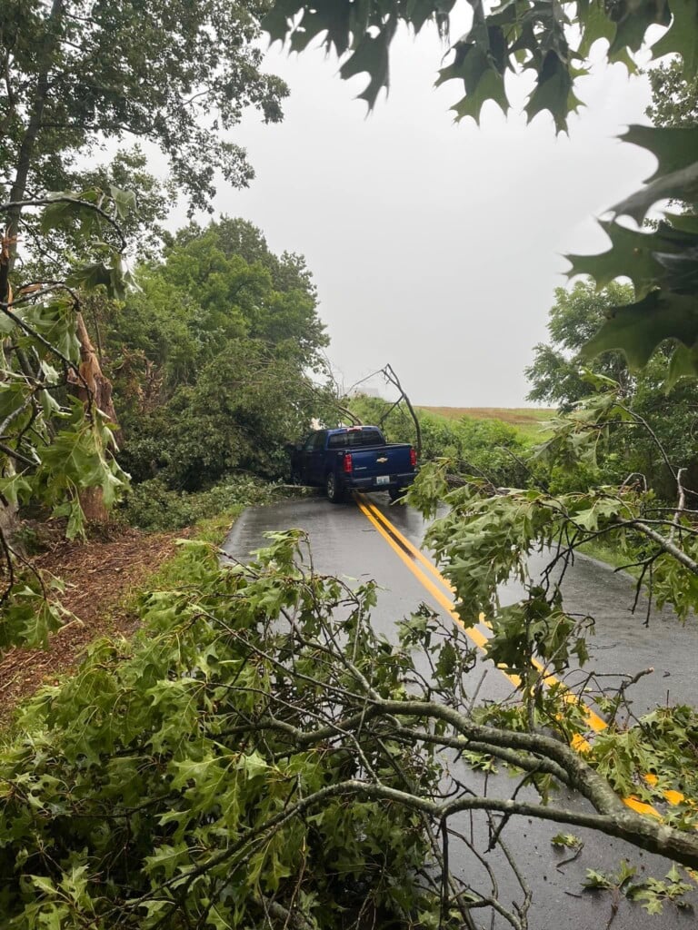 Trees Down 1 Courtesy Lyon County Ky Sheriffs Office