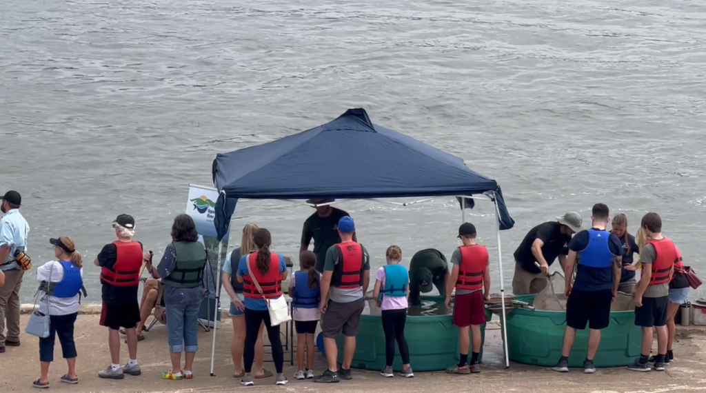 Day on the River event