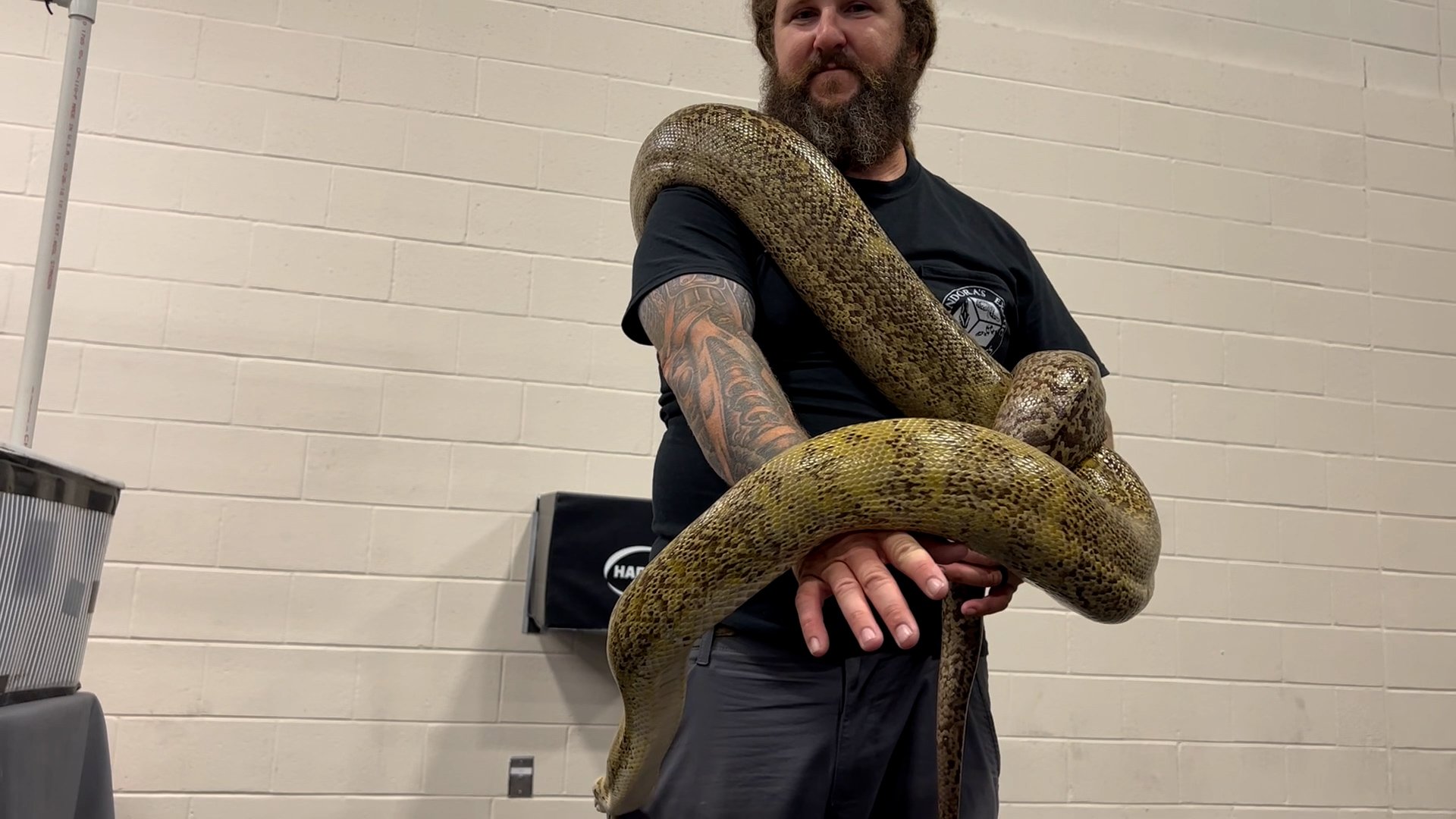 Full circle moment at Paducah's Exotic Pet Expo KBSI Fox 23 Cape