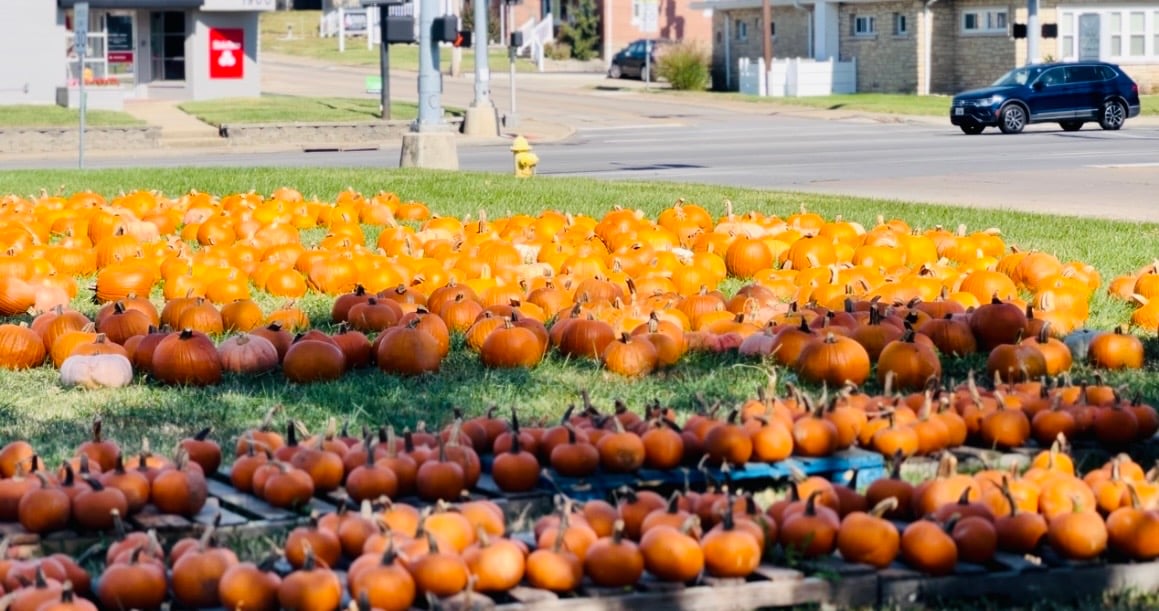 Boy Scouts selling pumpkins to raise money for summer camp KBSI Fox 23 Cape Girardeau News