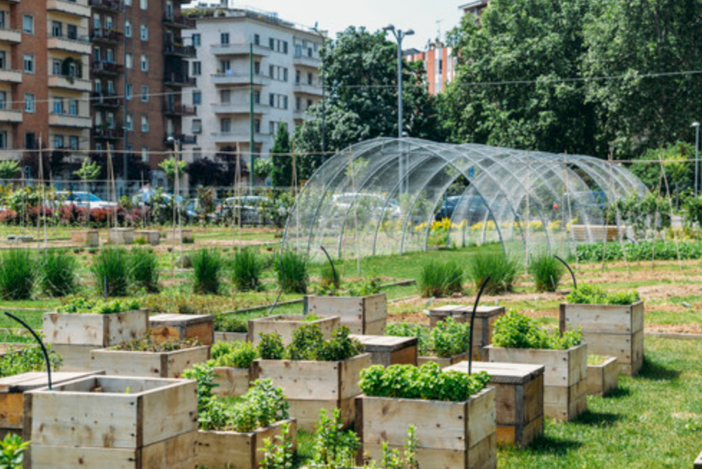 Urban Agriculture Project (Source: Missouri Department of Agriculture)
