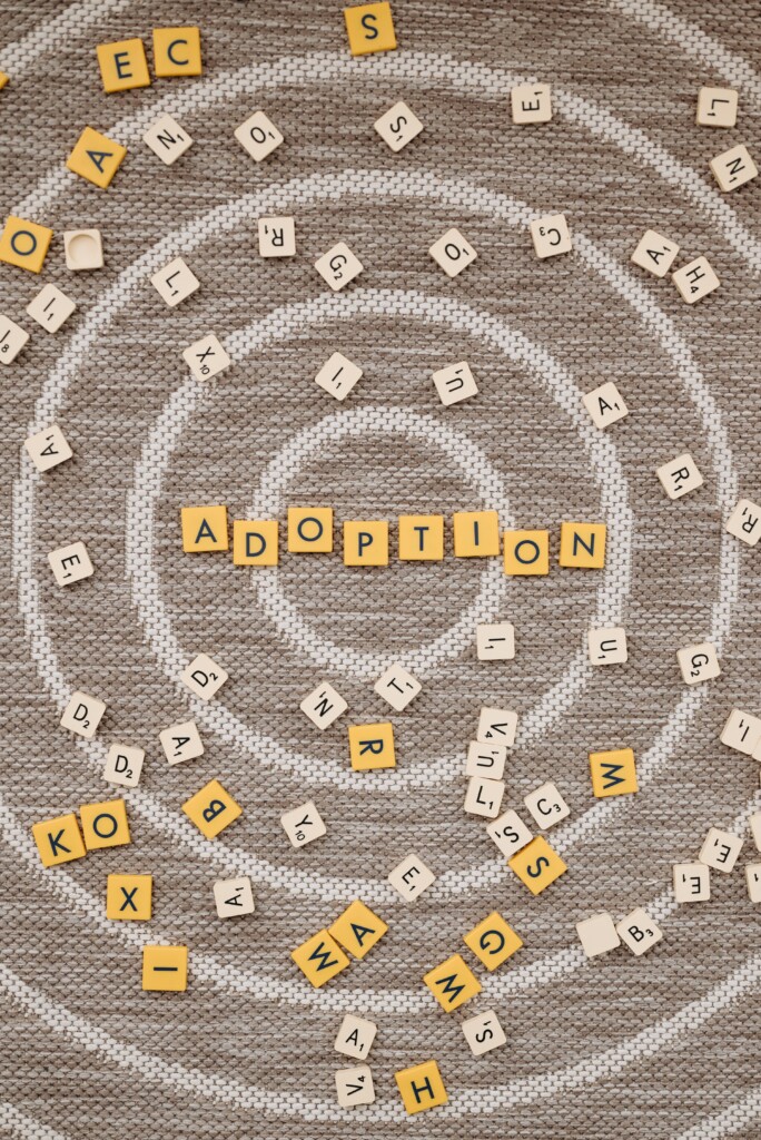 Adoption (Source: Pexels/Pavel Danilyuk)