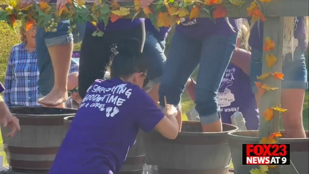 Grape Stomping Contest