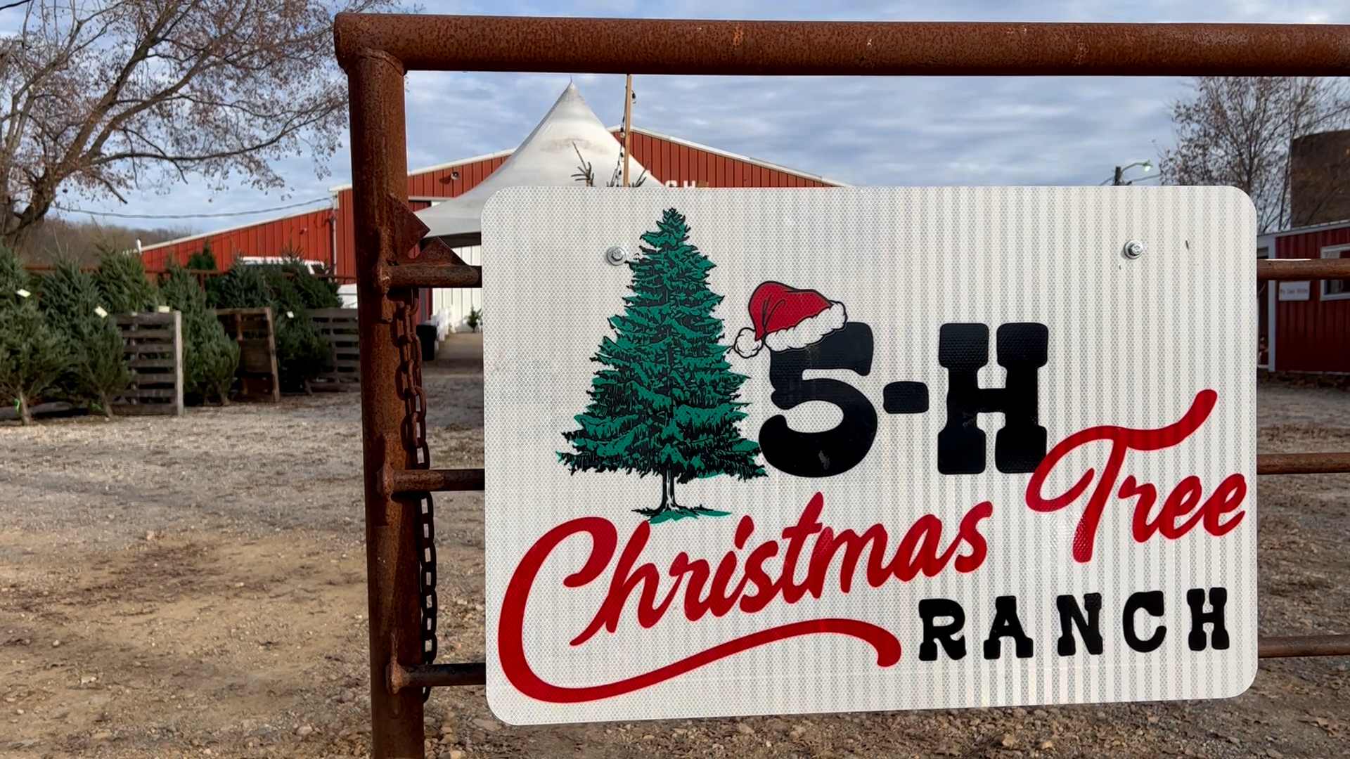 5-H Christmas Tree Ranch re-opens for first time since 2020 - KBSI ...