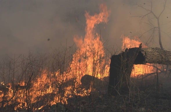 MDC reminds hunters and others in the outdoors to be careful with campfires and other sources of fire that could cause a wildfire. (Source: MDC)