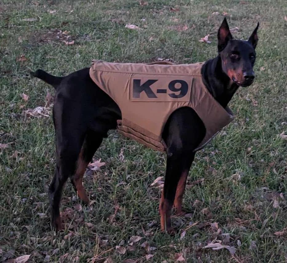 donated K9 vests (Source: Pulaski County ESDA K9 Search & Rescue/Facebook)