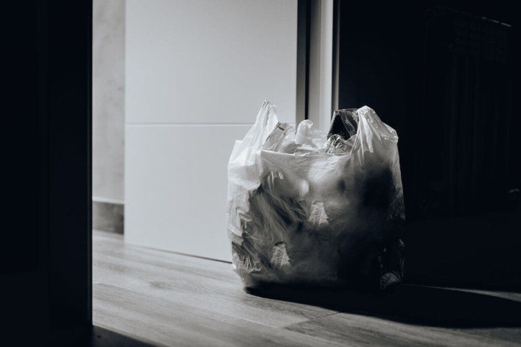 trash (Source: Pexels/Juan Pablo Serrano Arenas)