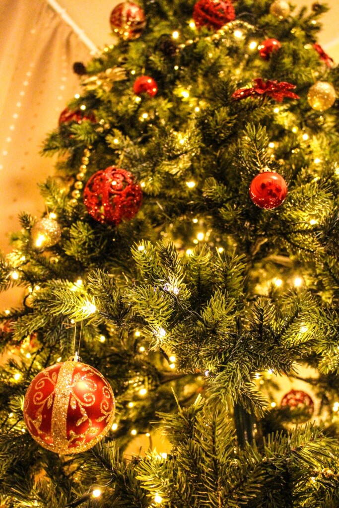 Christmas tree (Source: Pexels/Valeria Vinnik)