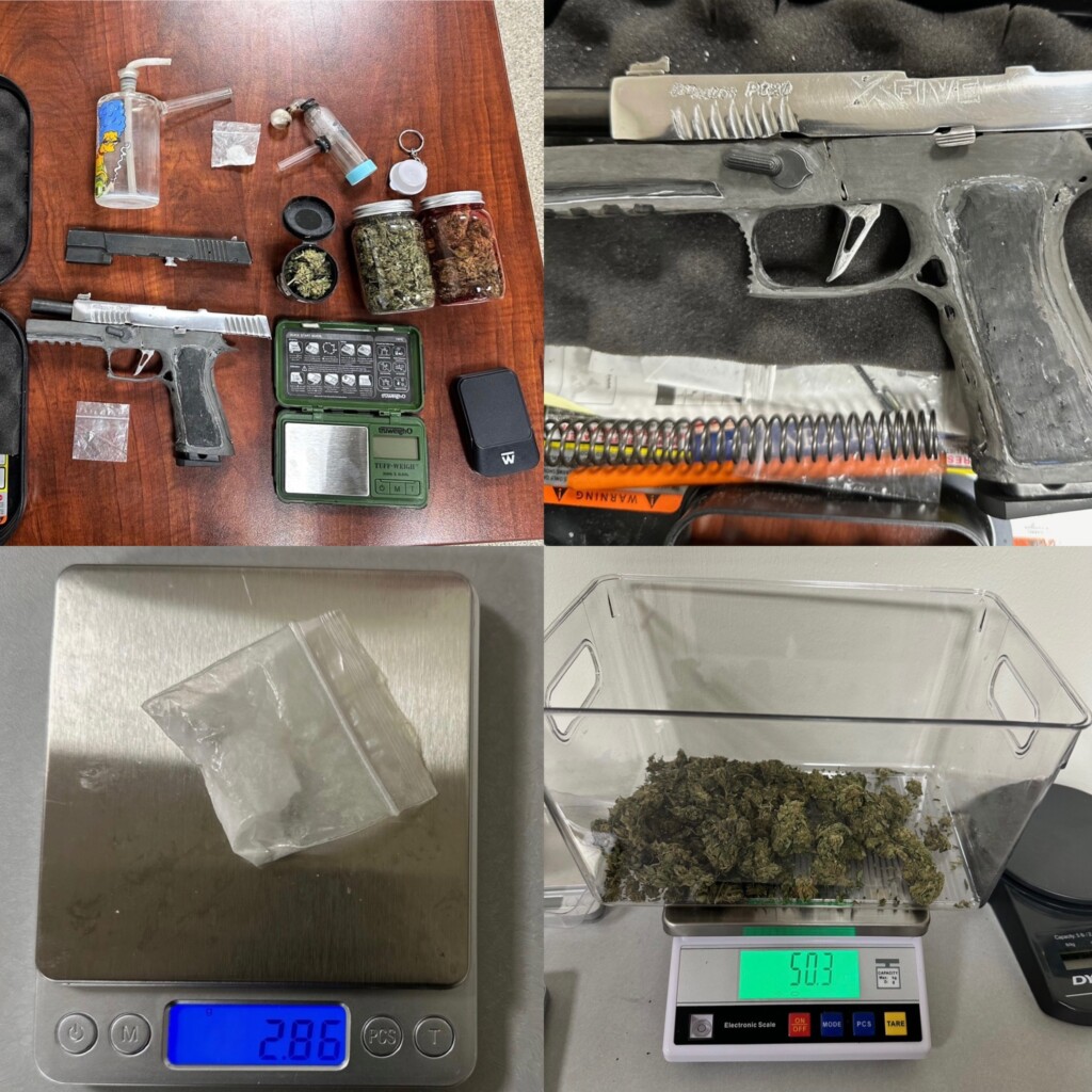 (Source: Williamson County Sheriff's Office/Facebook)