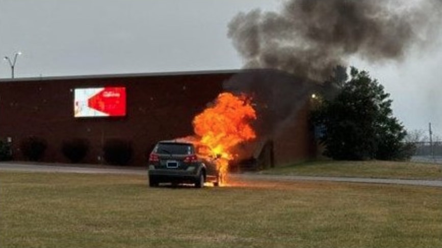 (Source: Marshall County KY Sheriff's Office/Facebook)