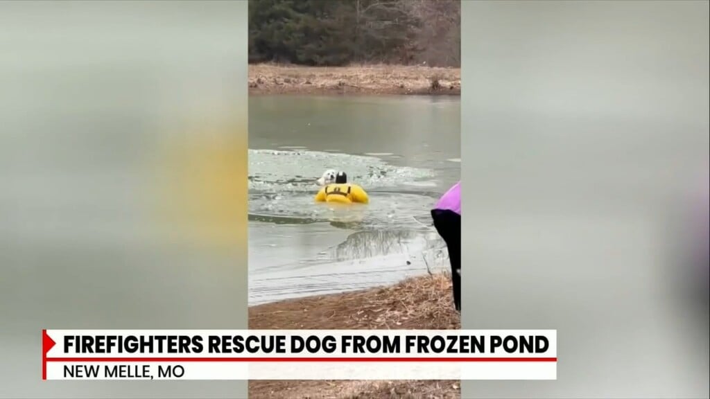 Firefighters Rescue Dog From Frozen Pond