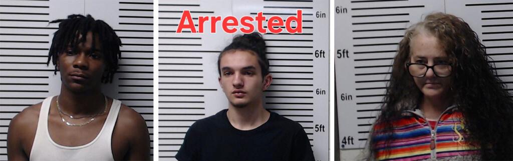 Demarcus D. Tucker, Richard P. Price, Stacey S. Samuels (Source: Union County Sheriff's Office Jonesboro, Illinois Facebook)