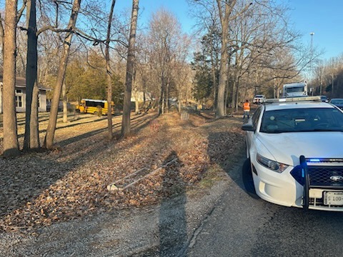 (Source: Williamson County Sheriff's Office/Facebook)