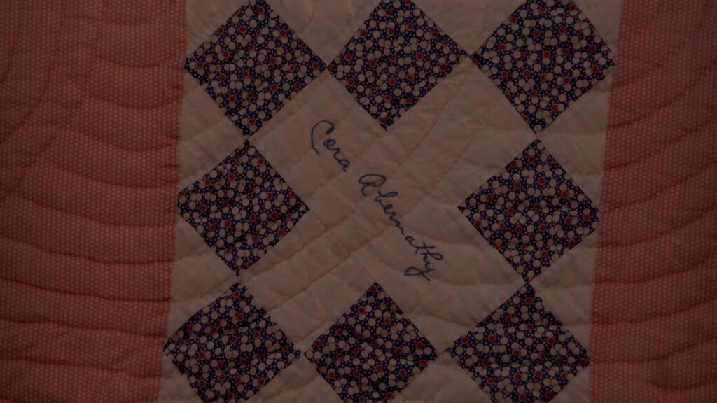 Friendship Quilt Bollinger County Quilt Show 1