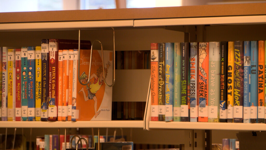 House Bill To Make Library Board Members Elected