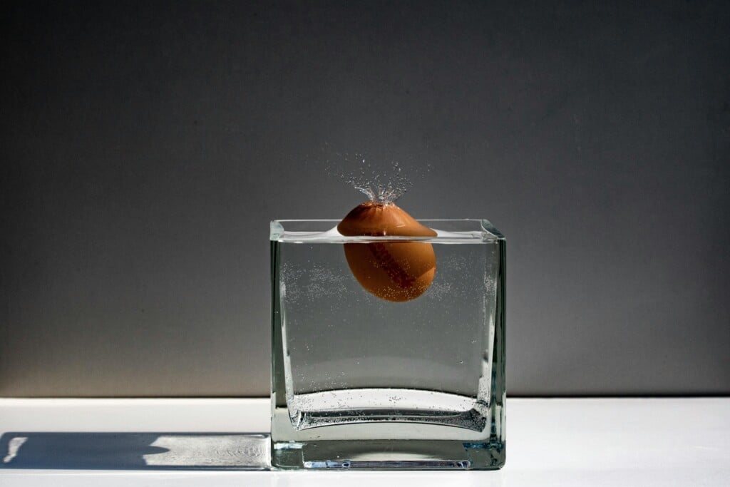 (Source; Pexels) Egg in Water