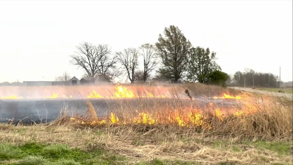 Alexander Co. Brush Fire