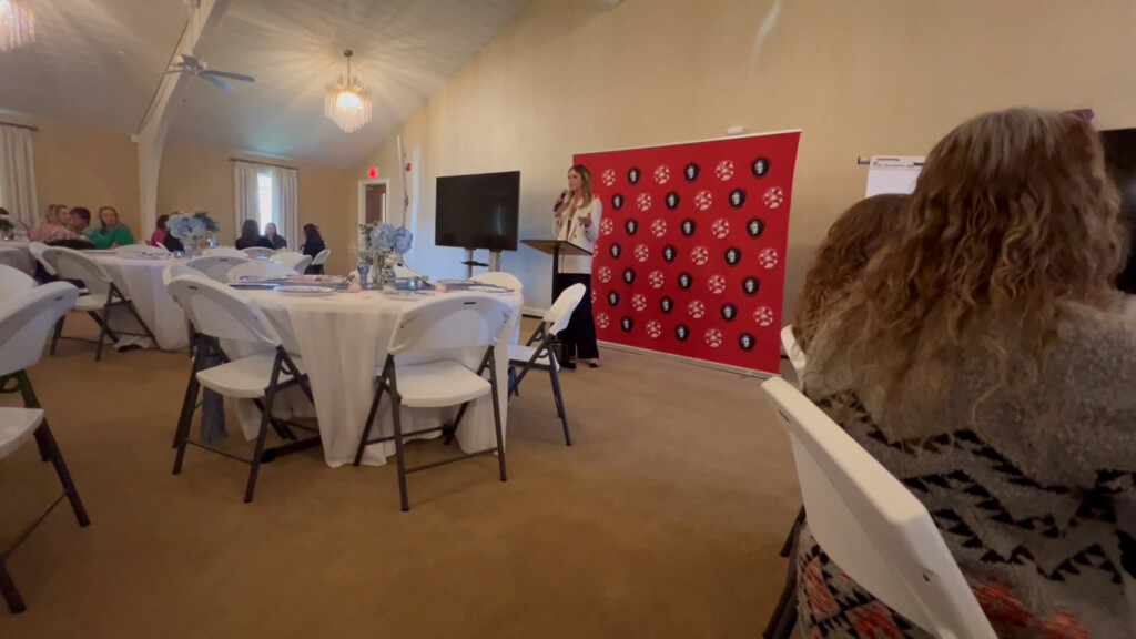 Meghan King, reality television personality, spoke at the Jackson WIN Luncheon on April 11.