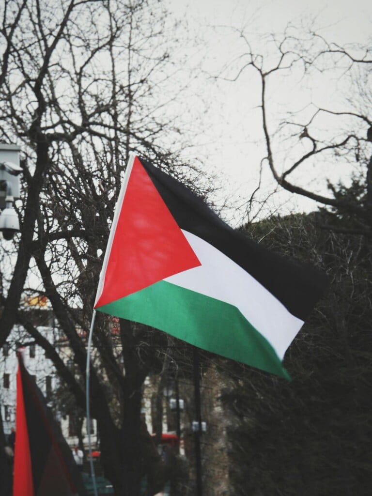 Gaza flag (Source: Pexels/Seyma D.)