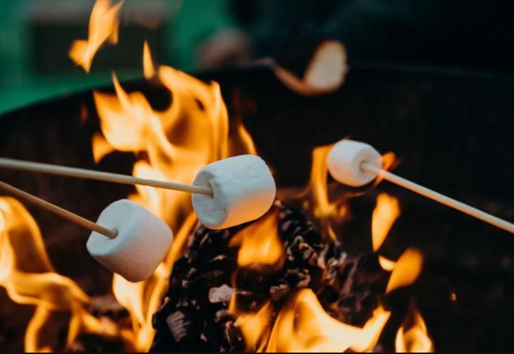 MDC reminds everyone to be extra careful with campfires, fireworks, and other sources of fire that could cause a wildfire. (Source: MDC)