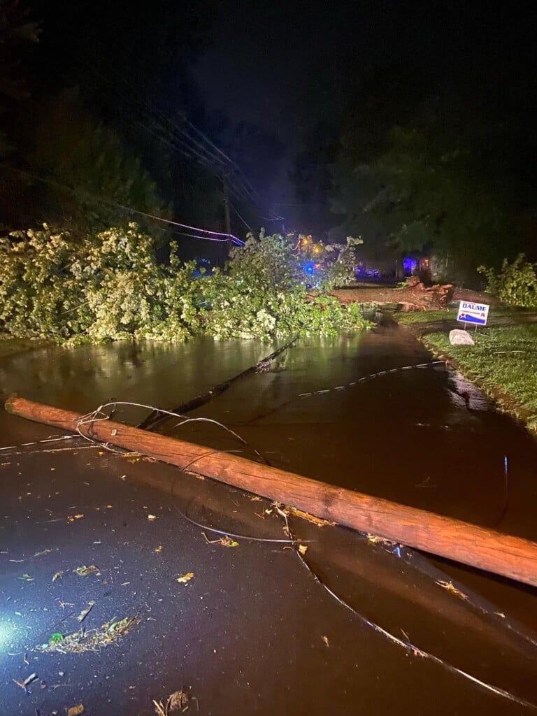 tree across Farmington Road In Jackson on June 25 (Source: Jackson MO-City Government/Facebook)