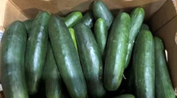 cucumbers (Source: CDC.gov)