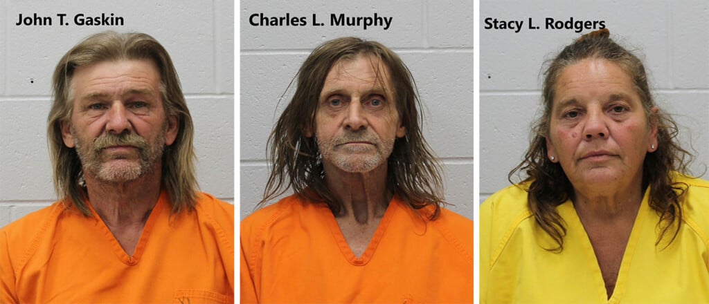 John T. Gaskin, Charles L. Murphy and Stacy L. Rodgers (Source: Franklin County, Illinois Government/Facebook)