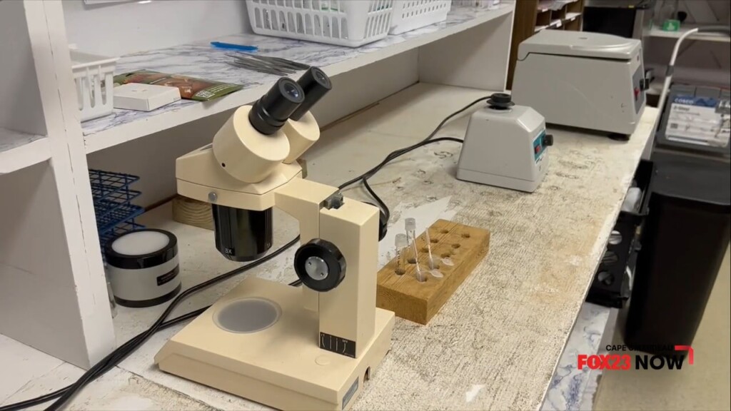 West Nile Virus In Three Positive Tests In So. Ill.