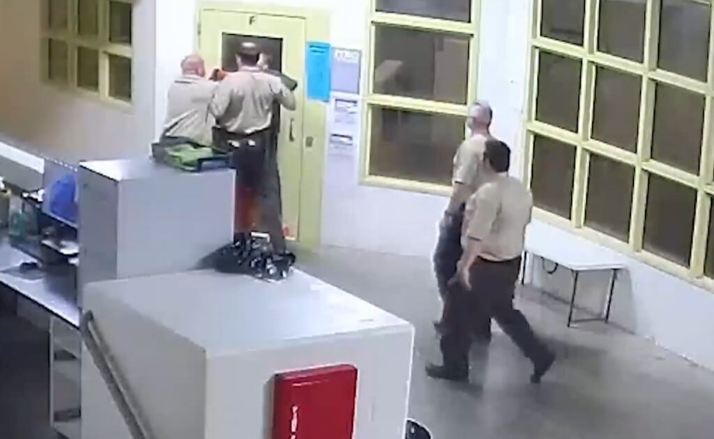 (Source: Williamson County Sheriffs Office/Facebook)