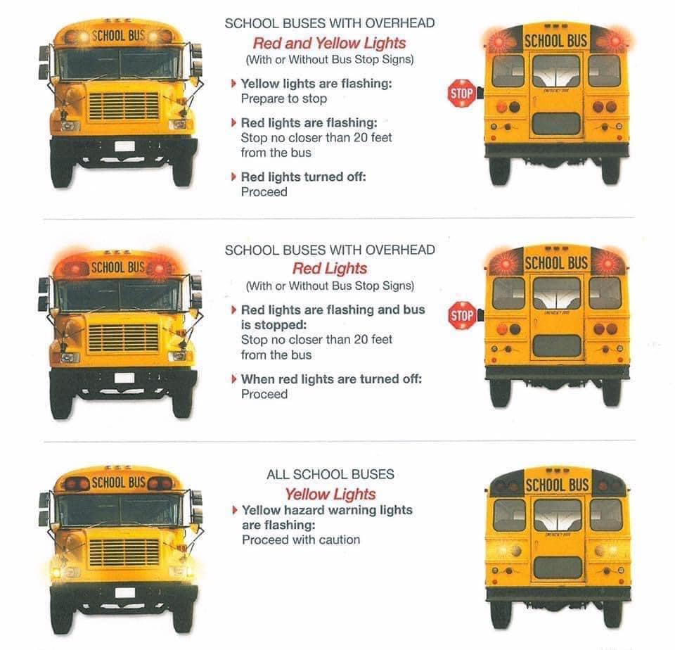 School Bus Rules Source Graves County Sheriffs Office Facebook