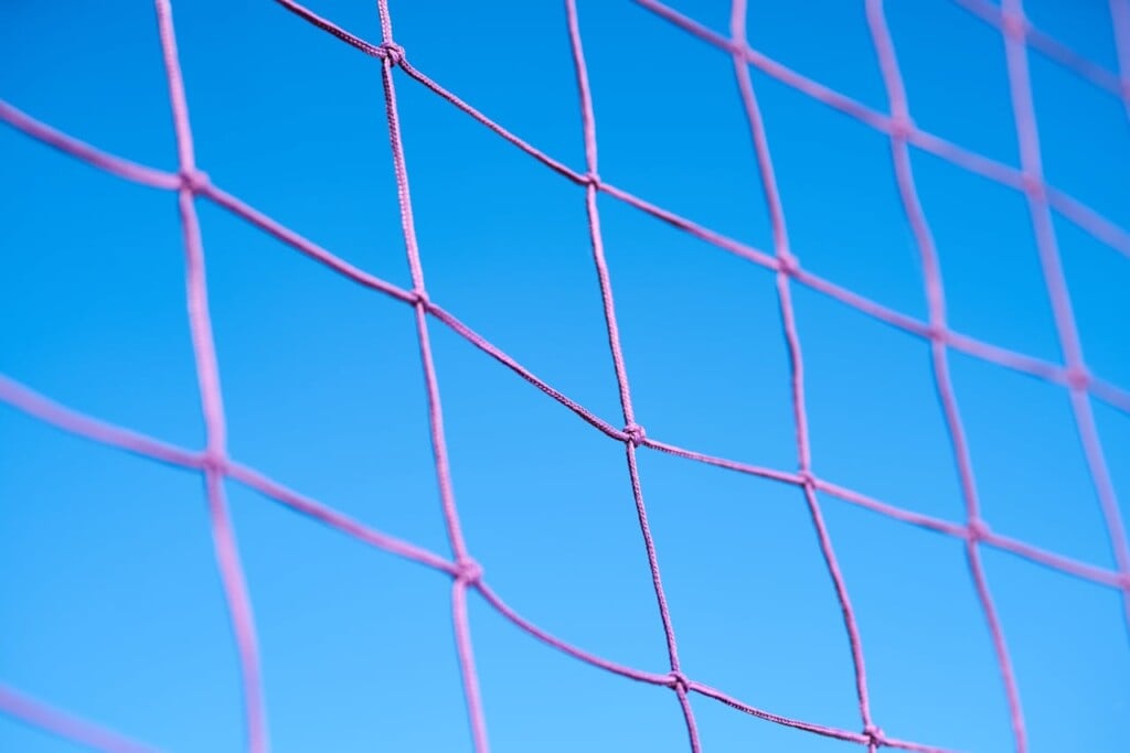 net (Source: Pexels/Enginakyurt)